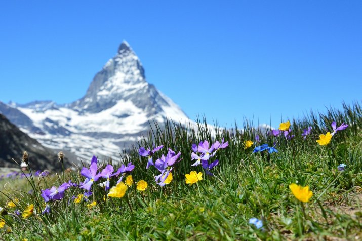 Die Schweizer bald schon den Digitalradio-Umstieg geschafft. Foto: Claudia Beyli/Pixabay, CC0 Die Schweizer bald schon den Digitalradio-Umstieg geschafft. Foto: Claudia Beyli/Pixabay, CC0